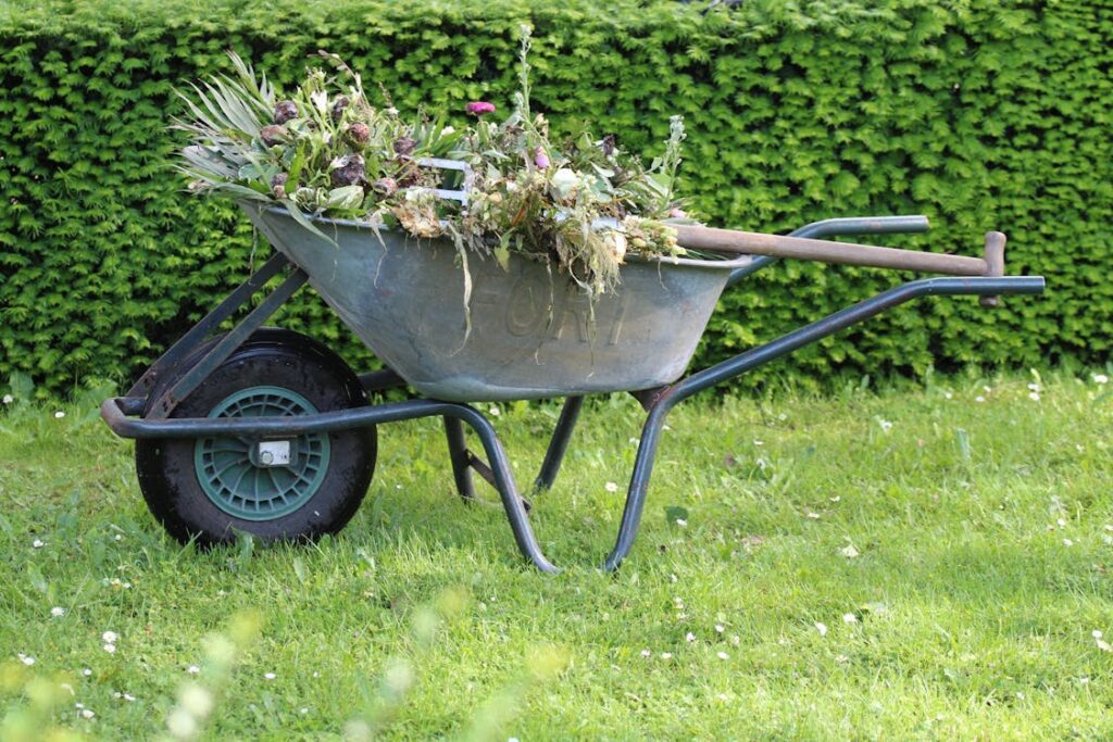 C.RIOU PAYSAGISTE Entretien extérieur et jardin Pleurtuit