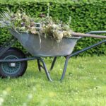 C.RIOU PAYSAGISTE Entretien extérieur et jardin Pleurtuit